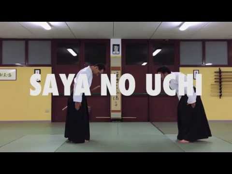 Aikido Kobayashi Hirokazu (AASCB): SAYA NO UCHI