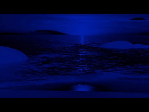 PARTY FAVOR: THE ISOLATION ALBUM - IT NEVER RAINS IN LA