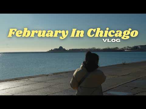 living in chicago winter | Feb 2025 vlog | the cold is over!