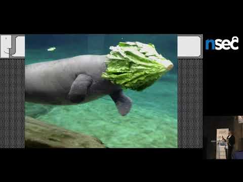 NorthSec 2015   Philip Young   Why You Should But Don't Care About Mainframe Security