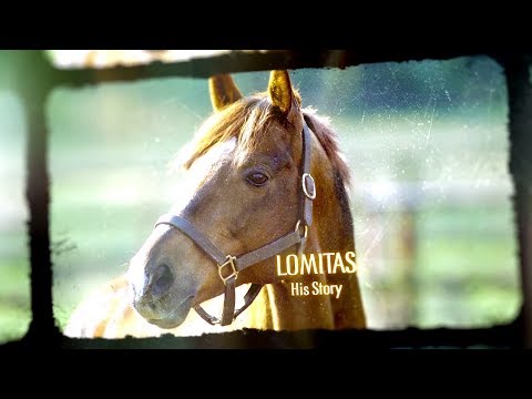 Lomitas – His Story