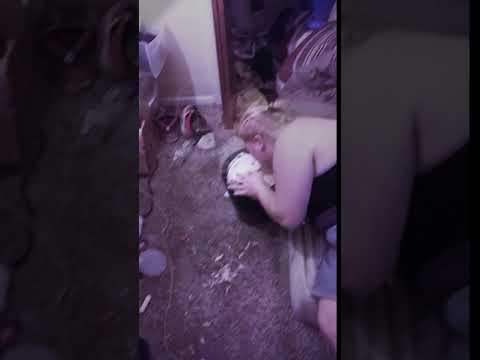 download lagu mp3 mp4 V5 Vodka, download lagu V5 Vodka gratis, unduh video klip V5 Vodka