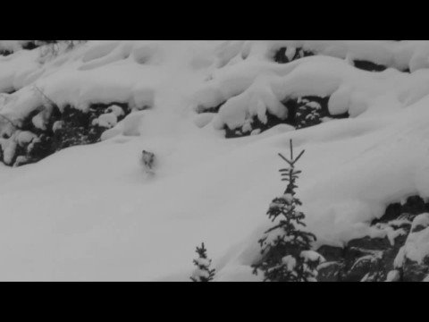 John Spriggs Jackson O8