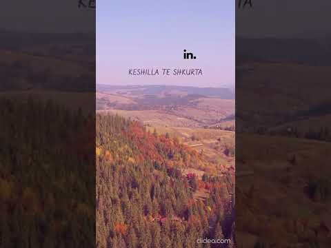 Lutje te ndryshme 36