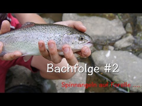 Spinnangeln auf Forelle am Bach // Tipps, Fische und mehr ...