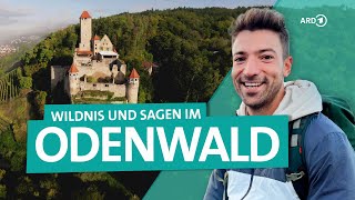 Odenwald: Wandern und Entdecken zwischen Neckar und Bergstraße | Wunde