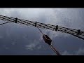channel