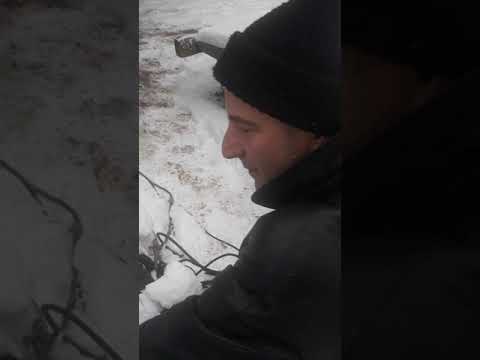 Orlando de la Gura Vitioarei, jud Prahova