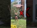 Cartwheel Tutorial Gymnastics Cartwheel Tutorial Cartwheeltutorial Shorts