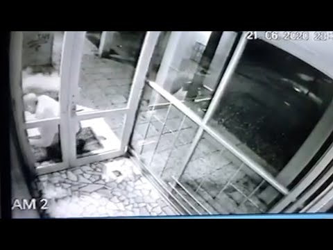 Ekskluzivno: Snimak sačekuše za Alajbega