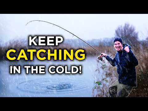 5 Steps to CATCH MORE CARP in Winter
