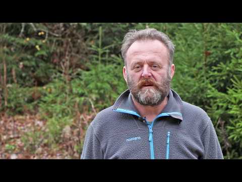 Mein Lieblingsort: Stephan Heider zu 50 Jahren Nationalpark Bayerischer Wald
