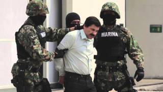 EL CHAPO FREESTYLE