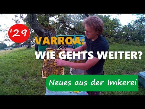 Übungen zur Vorbeugung und Behandlung von Prostatitis Rötung der Vorhaut mit Prostatitis