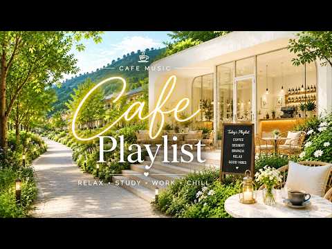 Coffee & Good Vibes ☕ 4시간 카페 음악