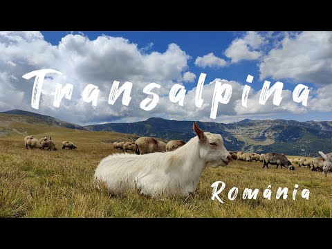 TRANSALPINA din drona - 4K 🇷🇴