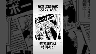 クロスギルドの雑学 #ワンピース #onepiece #クロスギルド