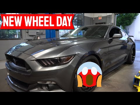 Niche Wheels M227 Bronze w/ Gloss Black Lip // S550 Mustang Wheels