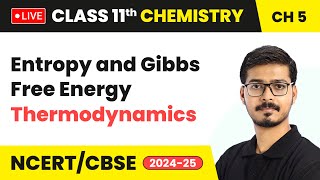 Entropy and Gibbs Free Energy - Thermodynamics | Class 11 Chemistry Chapter 5 | CBSE 2024-25 #live