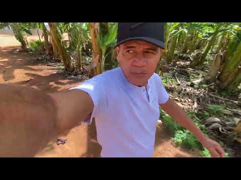 Olha esse lugar em missão velha ceará 