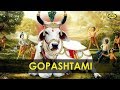 Gopashtami Cycle Pure Agarbathies