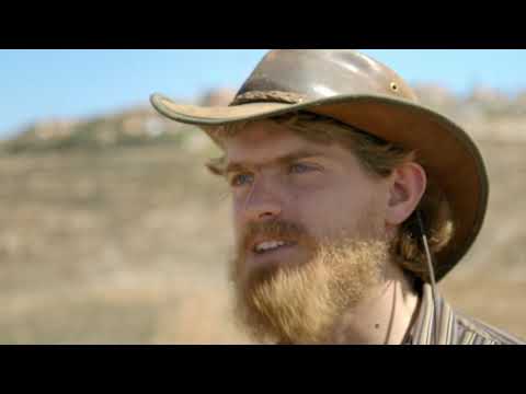 The Settlers