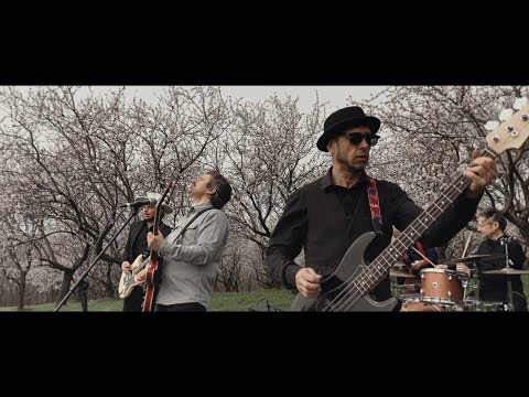 Snails - Florile de zarzarel (Visualiser)