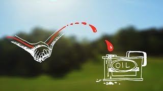 Some Swedish Trees - An Animation