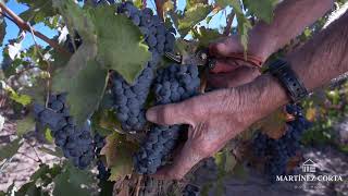 Bodegas Martínez Corta