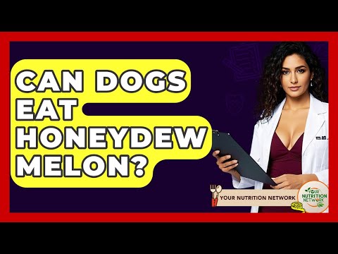 Can Dogs Eat Honeydew Melon? - Your Nutrition Network
