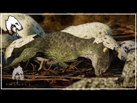 THE EGGSPERIENCE! | The Isle Evrima Update 5