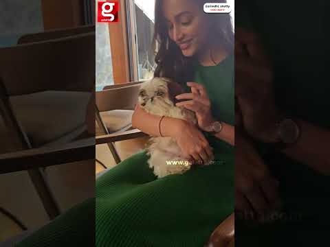 💖Dog-ஐ குழந்தை போல் கொஞ்சிய Srinidhi Shetty🌸Viral Video