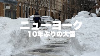 [海外] ニューヨーク １０年振りの大雪 #海外生活 #アメリカ #ニューヨーク
