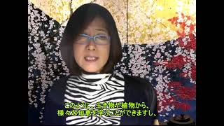 高月美樹先生の講座紹介動画