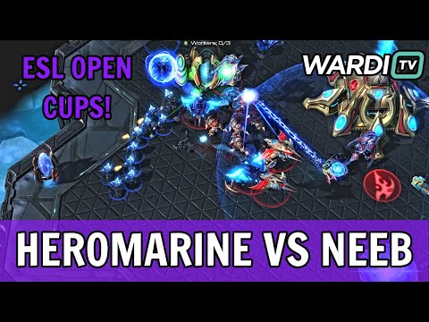 Neeb vs HeroMarine - ESL Open Cups #24! (PvT)