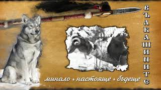 Вълкашини 1