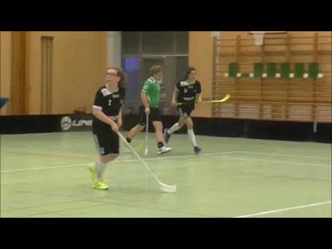 2017- 02- 18.  Tillberga Roosters- Hallsta, 6-5