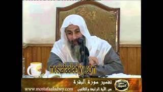 منوعات 502 مسجد التوحيد بالمنصورة   تفسير سورة البقرة من الاية 43     7       22 11 2011مصطفى العدوي
