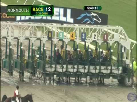 2016 Haskell Invitational Stakes - Exaggerator