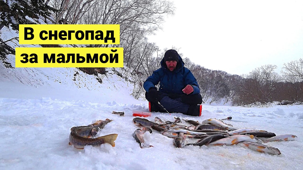В снегопад за мальмой на безлюдной речке