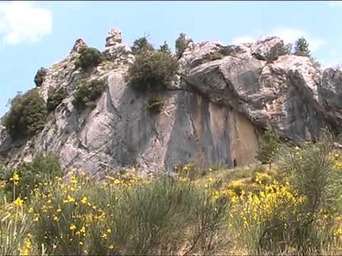 Civitanova del Sannio, ecco le pitture rupestri preistoriche e protostoriche