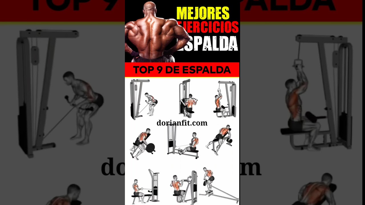 Espalda