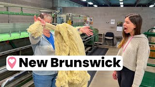 We Toured Canada's OLDEST Woolen Mill