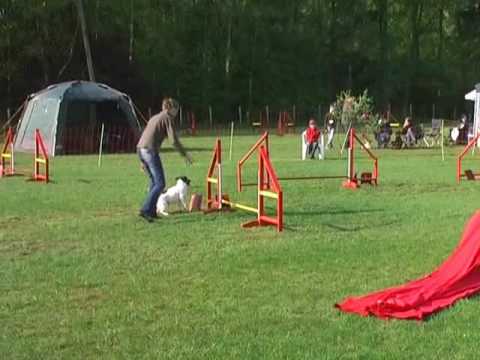 19 04 09 Jumping Christina mit Spike