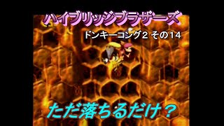 ドンキーコング２_その14[ハイブリッジブラザーズ]