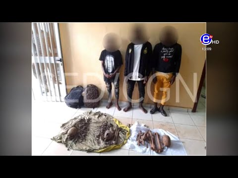 PIDGIN NEWS THURSDAY 11th MARCH 2021 - EQUINOXE TV