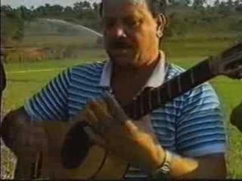 Introdução de Pagodes - Tião do Carro, Zé Mulato e outros