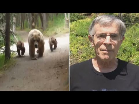 Hiker Records Video As Mama Bear And Cubs Follow Him Along Trail