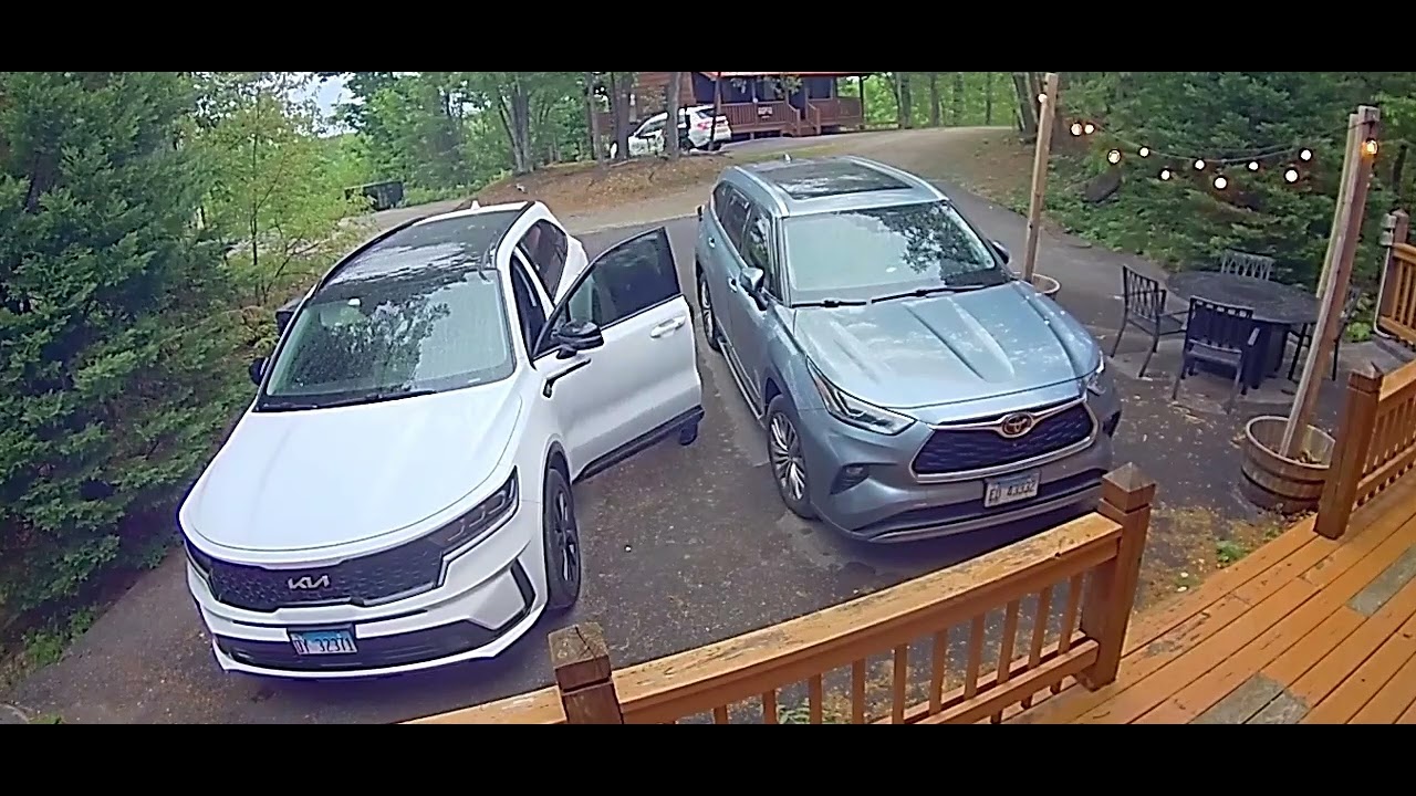 Gatlinburg Black Bear Knows To Try Car Doors || ViralHog