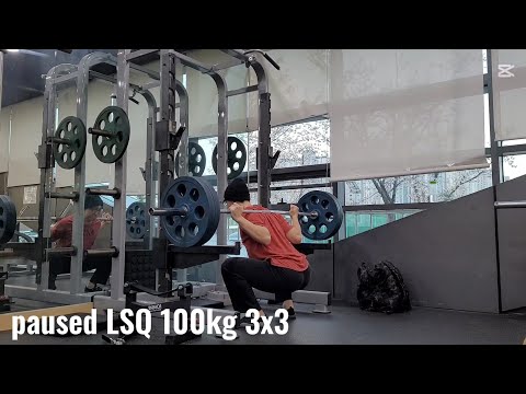 Everyday SQUAT Day365 250331